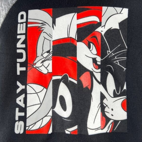 Space Jam New Kids Looney Tunes Stay Tuned 2 Piece Hoodie Set Size 4T Grey/Black - Picture 4 of 8